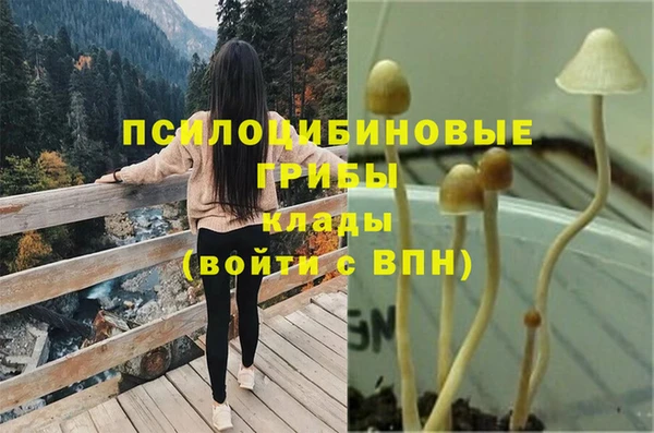 apvp Балабаново