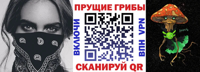где найти   Сосенский  Псилоцибиновые грибы MAGIC MUSHROOMS 